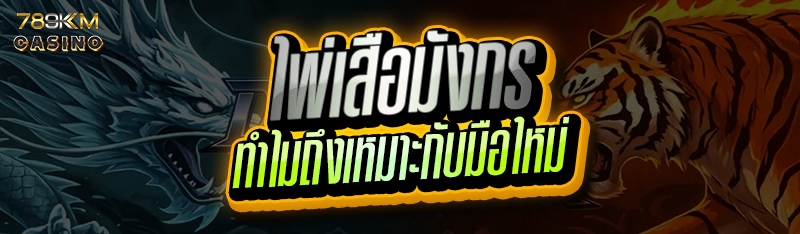 ไพ่เสือมังกร ทำไมถึงเหมาะกับมือใหม่