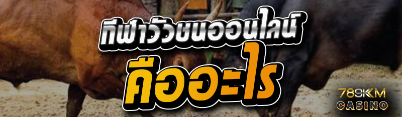 กีฬาวัวชนออนไลน์ คืออะไร 