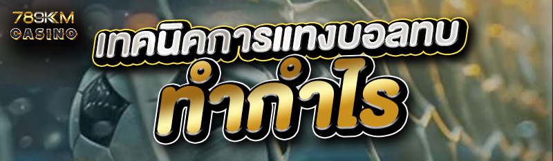 เทคนิคการแทงบอลทบทำกำไร 